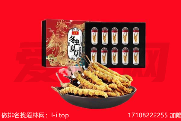 漳州市平和回收虫草.jpg